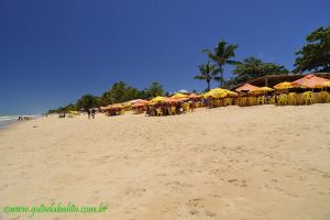 Fotos Praia de Novo Prado BAHIA 6