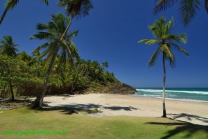 Fotos Praia da Costa Itacare 4