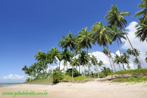 Fotos Praia da Concha Ilha de Itaparica 8