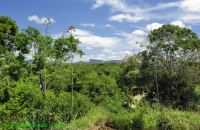 Fotos Pratinha Chapada Diamantina 24