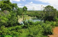 Fotos Pratinha Chapada Diamantina 6