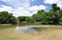 Fotos Pratinha Chapada Diamantina 22