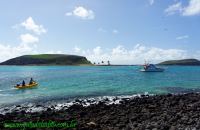 Abrolhos4