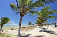 Fotos Praias de Alcobaca BAHIA 23