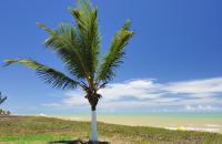 Fotos Praias de Alcobaca BAHIA 21