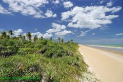 Fotos Praia Costa do Atlantico Nova Vicosa BAHIA 6
