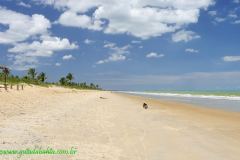 Fotos Praia Costa do Atlantico Nova Vicosa BAHIA 12