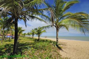 Fotos Praia Pontal da Barra Nova Vicosa BAHIA 7