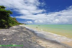 Foto Praia da Areia Preta Cumuruxatiba Prado BAHIA 14