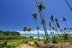 Fotos Praia Japara Grande Prado BAHIA 13