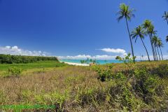 Fotos Praia Japara Grande Prado BAHIA