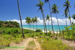 Fotos Praia Japara Grande Prado BAHIA 14