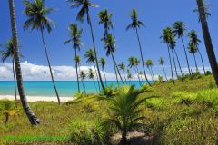 Fotos Praia Japara Grande Prado BAHIA 17