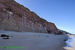 Fotos Praia Riacho Das Ostras Prado BAHIA 7