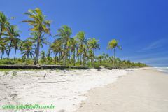 Fotos Praia da Costa Canavieiras BAHIA 7