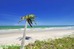 Fotos Praia da Costa Canavieiras BAHIA 4