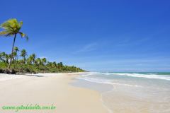 Fotos Praia da Costa Canavieiras BAHIA 6