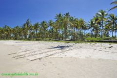 Fotos Praia da Costa Canavieiras BAHIA 17