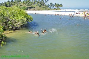 Fotos Praia de Cururupe Ilheus BAHIA 10