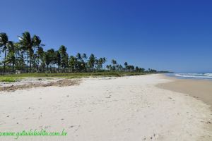 Fotos Praia de Cururupe Ilheus BAHIA
