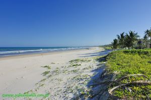 Fotos Praia do Norte Ilheus BAHIA 7