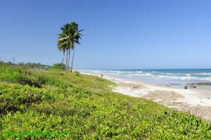 Fotos Praia dos Milionarios Ilheus 3