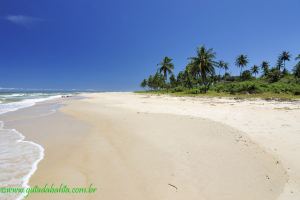 Fotos Praia de Olivenca  Ilheus 8