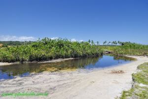 Fotos Praia de Acuipe Una 4