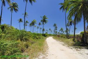 Fotos Praia dos Lencois Una 6