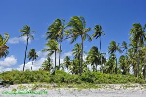 Fotos Praia dos Lencois Una 5