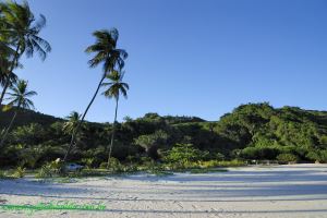 Fotos Praia Ponta da Serra Urucuca BAHIA 6