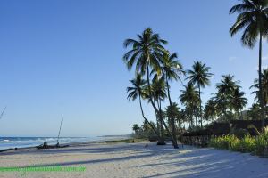 Fotos Praia Ponta da Serra Urucuca BAHIA 5