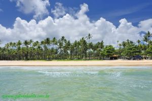 Fotos Praia de Tassimirim Ilha de Boipeba 3