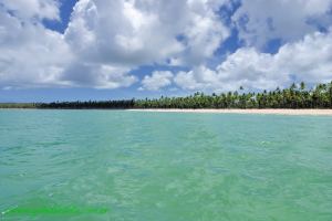 Fotos Praia de Tassimirim Ilha de Boipeba 5