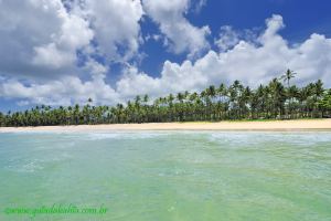 Fotos Praia de Tassimirim Ilha de Boipeba 4