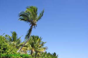 Fotos Praia de Algodoes Peninsula de Marau 3