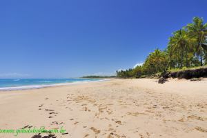 Fotos Praia de Saquaira Peninsula de Marau
