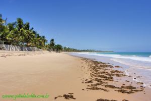 Fotos Praia de Saquaira Peninsula de Marau 7
