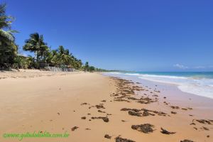 Fotos Praia de Saquaira Peninsula de Marau 6