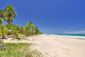 Fotos Praia de Taipu de Fora Marau 3