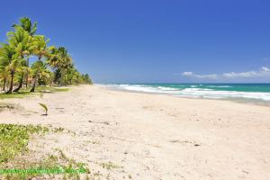 Fotos Praia de Taipu de Fora Marau 4