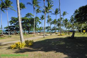 Fotos Praia de Curuipe Trancoso 5