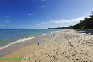 Fotos Praia de Curuipe Trancoso 4