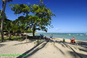 Fotos Praia de Curuipe Trancoso 6