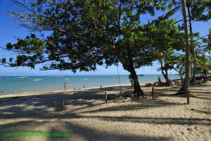 Fotos Praia de Curuipe Trancoso 8