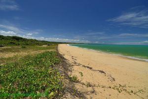 Fotos Praia de Mutari Santa Cruz Cabralia 4