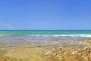 Fotos Praia de Arembepe Costa dos Coqueiros Pano