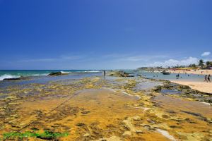 Fotos Praia de Arembepe Costa dos Coqueiros 6