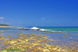 Fotos Praia de Arembepe Costa dos Coqueiros 2