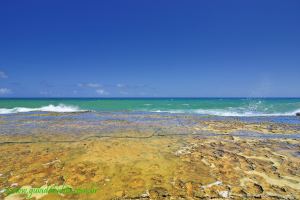 Fotos Praia de Arembepe Costa dos Coqueiros 4